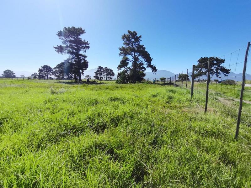 0 Bedroom Property for Sale in George Rural Western Cape